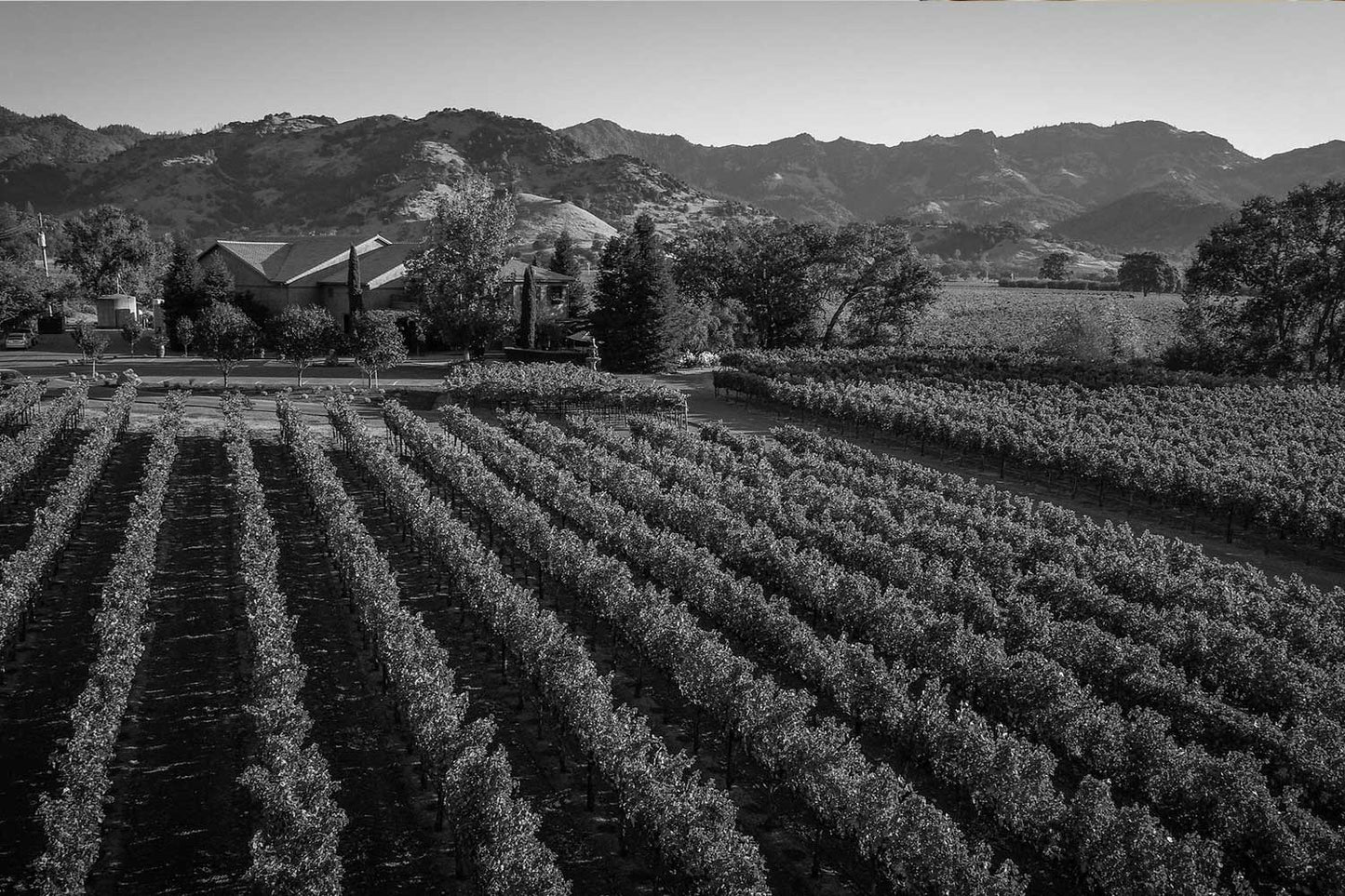 Not Just Bordeaux: The Best Magnum Wines from Around the World