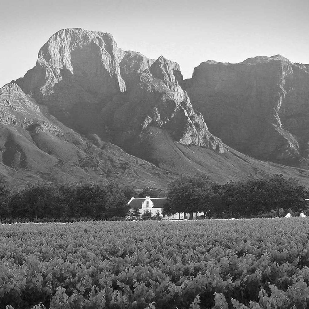 Why the Cape Makes Red Blends You Can’t Stop Pouring