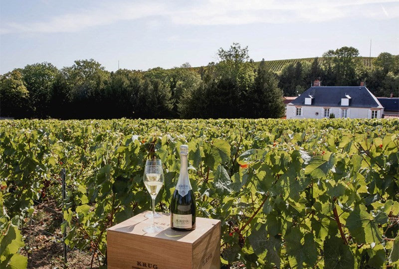 Krug